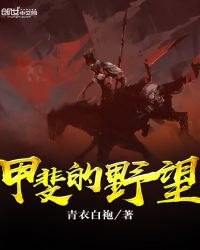 甲斐的野望封面