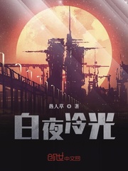 白夜冷光封面