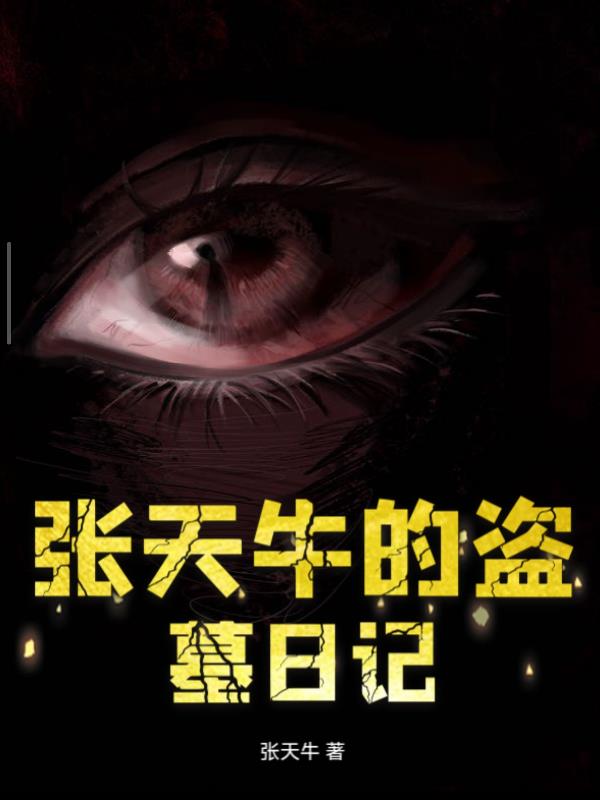 张天牛的盗墓日记封面