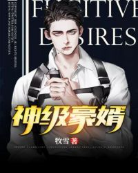 神级豪婿封面