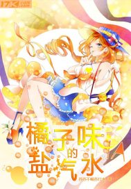 橘子味的盐汽水封面