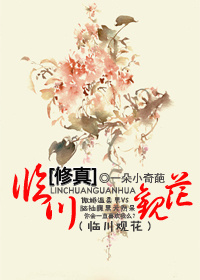 （修真）临川观花封面