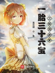 一胎三十六宝之极品老爹封面