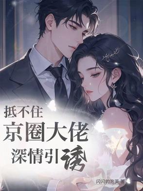 京婚似锦封面