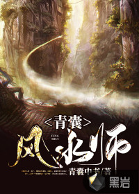青囊风水师封面