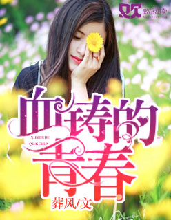 血铸的青春封面