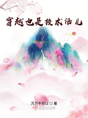 穿越也是技术活儿封面