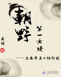 朝野第一女将封面