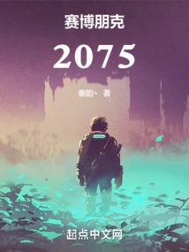赛博朋克：2075封面