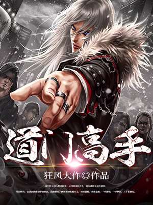 道门高手封面