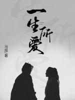 一生所爱封面