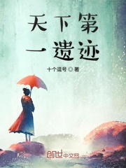 天下第一遗迹封面