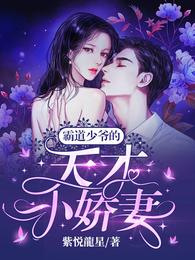 霸道少爷的天才小娇妻封面