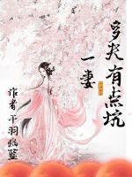 一妻多夫有点坑封面