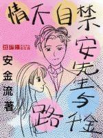 情不自禁：安先生与路千金封面
