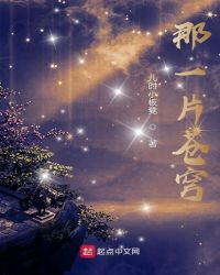 那一片苍穹封面