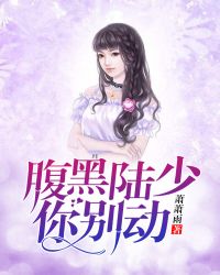 腹黑陆少你别动封面