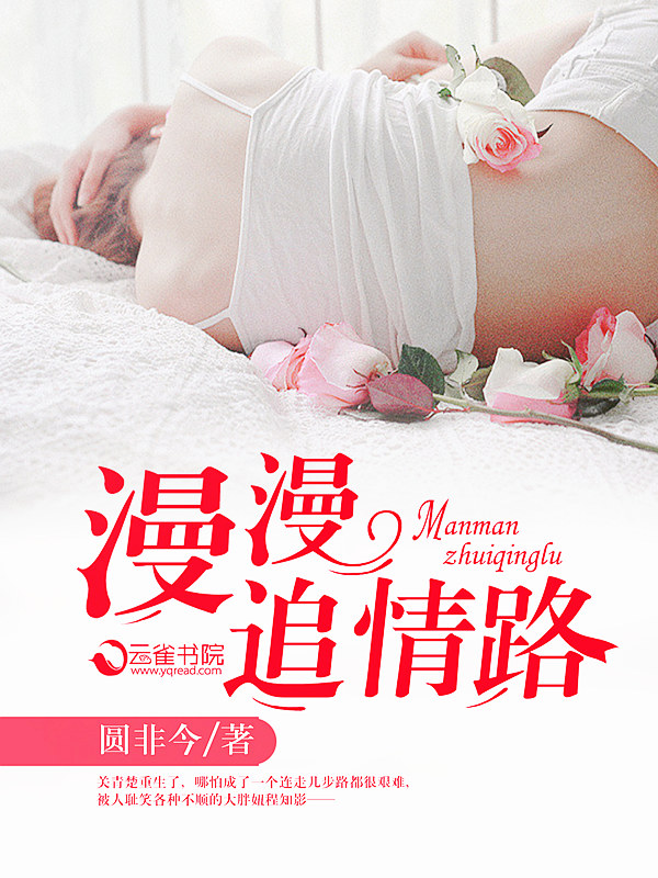 漫漫追情路封面