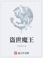盗世魔王封面