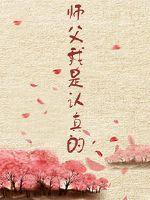 师父我是认真的封面