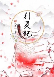 引灵妃封面