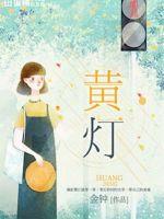 黄灯封面