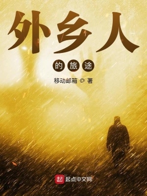 外乡人的旅途封面