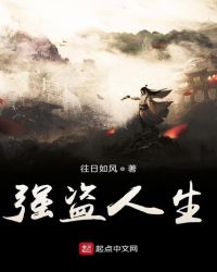 强盗人生封面