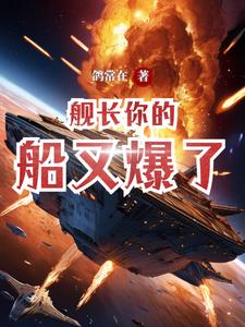 舰长你的船又爆了封面