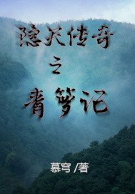 隐天传奇之青箩记封面