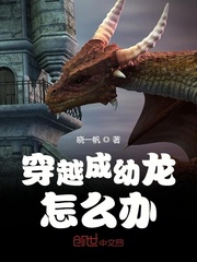 穿越成幼龙怎么办封面