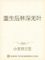 重生后林深无叶封面