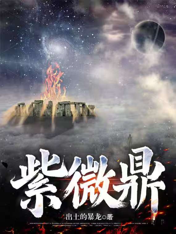 紫微鼎封面