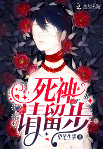 死神请留步封面