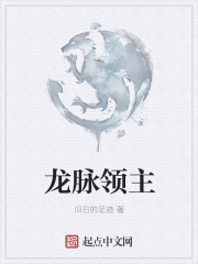 龙脉领主封面