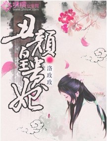 丑颜皇贵妃封面