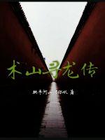 术山寻龙传封面