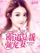 霸道总裁强宠妻:爵爷,来追我!封面