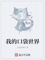 我的口袋世界封面