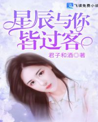 星辰与你皆过客封面