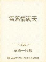 雪落情满天封面