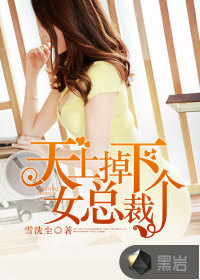 天上掉下个女总裁封面