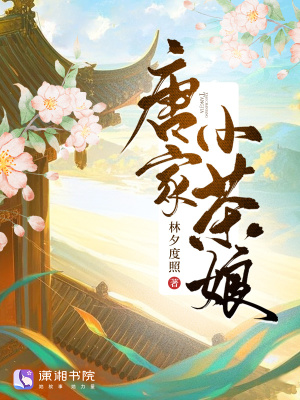 唐家小茶娘封面