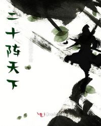 二十阵天下封面
