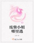 废柴小姐哪里逃封面