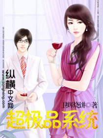 超极品系统封面