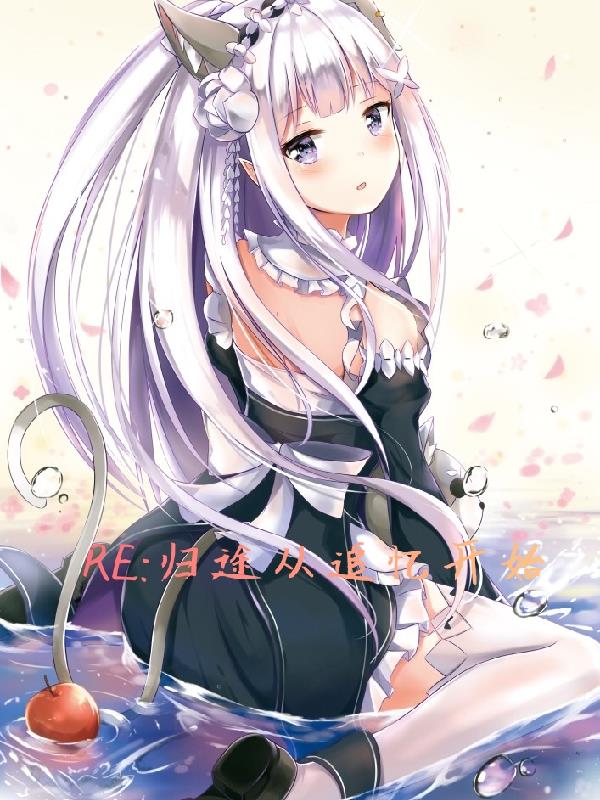 RE,归途从追忆开始封面