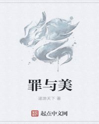 罪与美封面