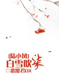 白雪吹柒封面