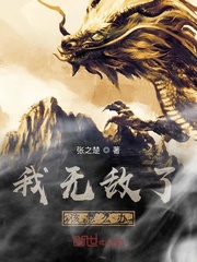 我无敌了该怎么办封面